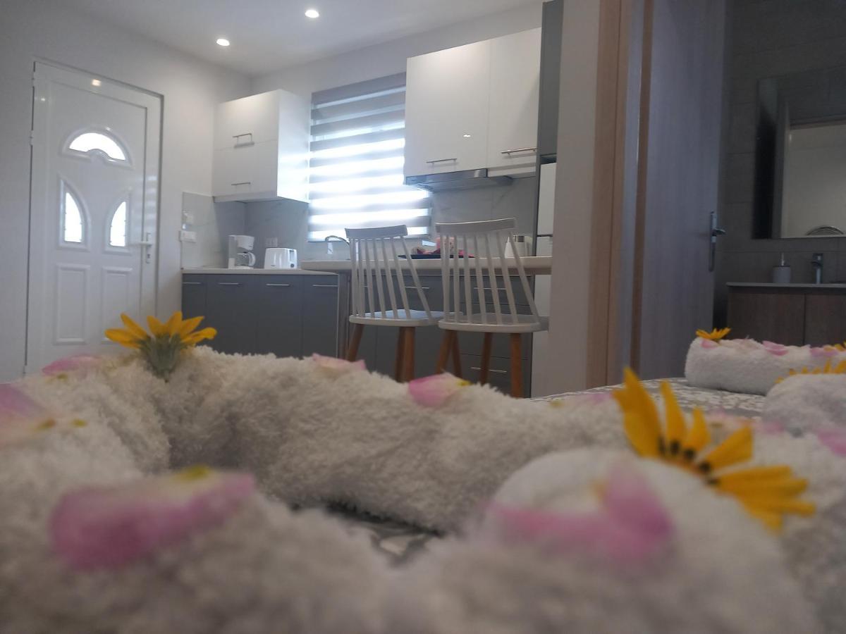 Apartment Summer Holidays
